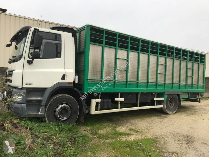 Voir les photos Camion DAF CF85 460