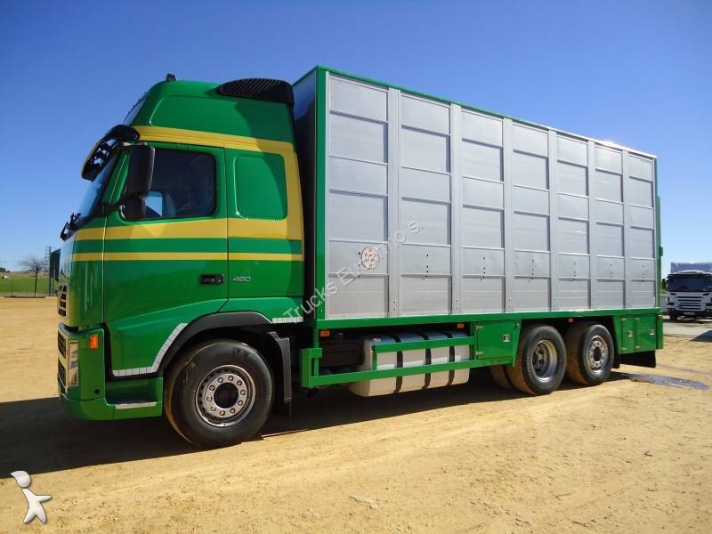 Camion Volvo Trasporto Bestiame FH12 480 6x2 Gasolio Euro 4 Usato - N ...