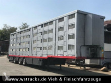 semirremolque nc Menke 4 Stock Lenk Lift Typ2 Lüfter Dusche Tränk