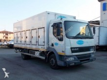 utilitaire frigo DAF