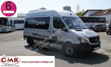 Mercedes 316 Blue Tec Sprinter / Crafter / VIP