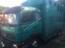 Mercedes cargo van