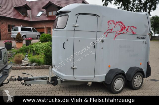 westfalia van chevaux