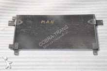 MAN TGX