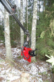 Mecanil shears