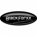BlackForxx GmbH