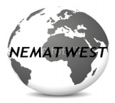 Nematwest